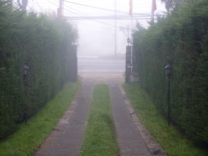 Walking to the road from my hotel. Foggy morning. (Photo by me)